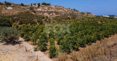 For sale , Agricultural Field in Polis Chrysochou area, in Paphos