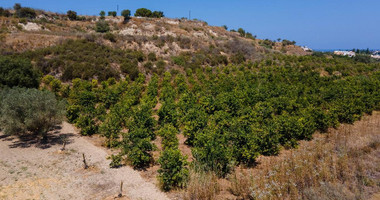 For sale , Agricultural Field in Polis Chrysochou area, in Paphos