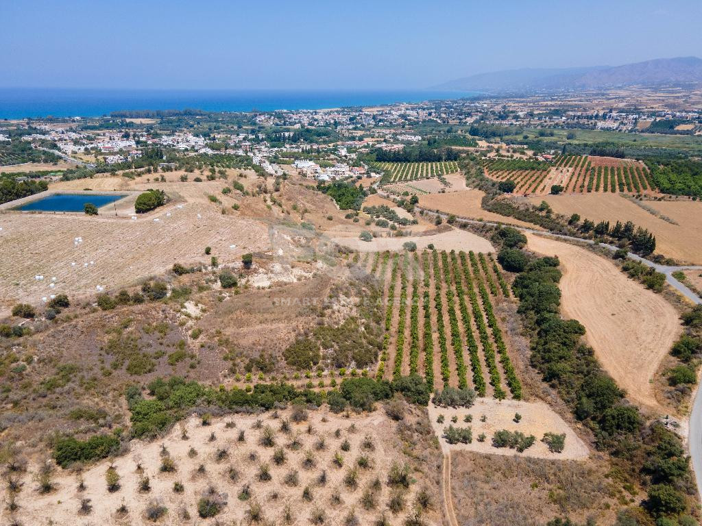 For sale , Agricultural Field in Polis Chrysochou area, in Paphos