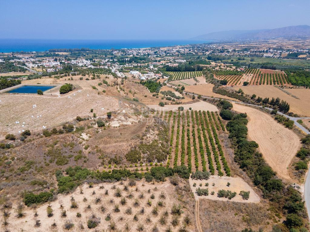 For sale , Agricultural Field in Polis Chrysochou area, in Paphos