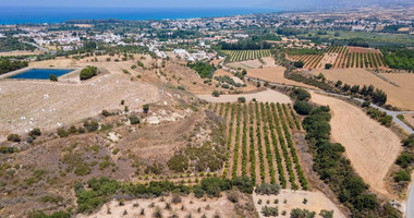 For sale , Agricultural Field in Polis Chrysochou area, in Paphos
