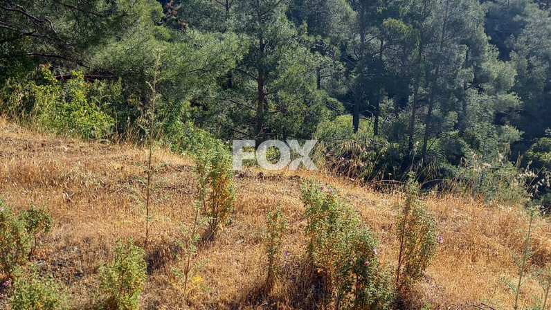 Plot of land for sale 1440 m² in Moniatis, Limassol, Cyprus