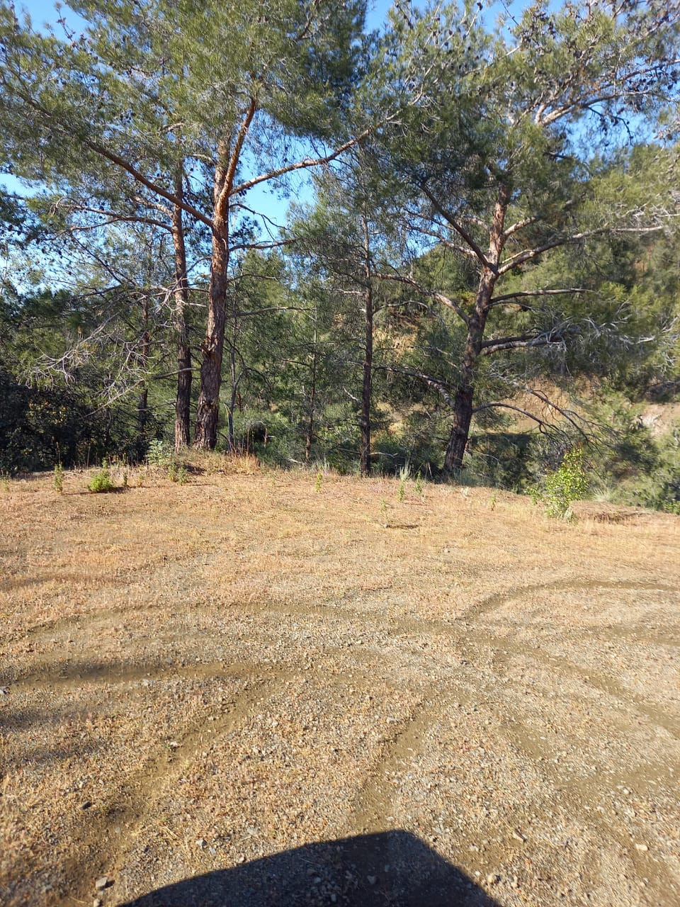 Appartement  Moniatis, Chypre