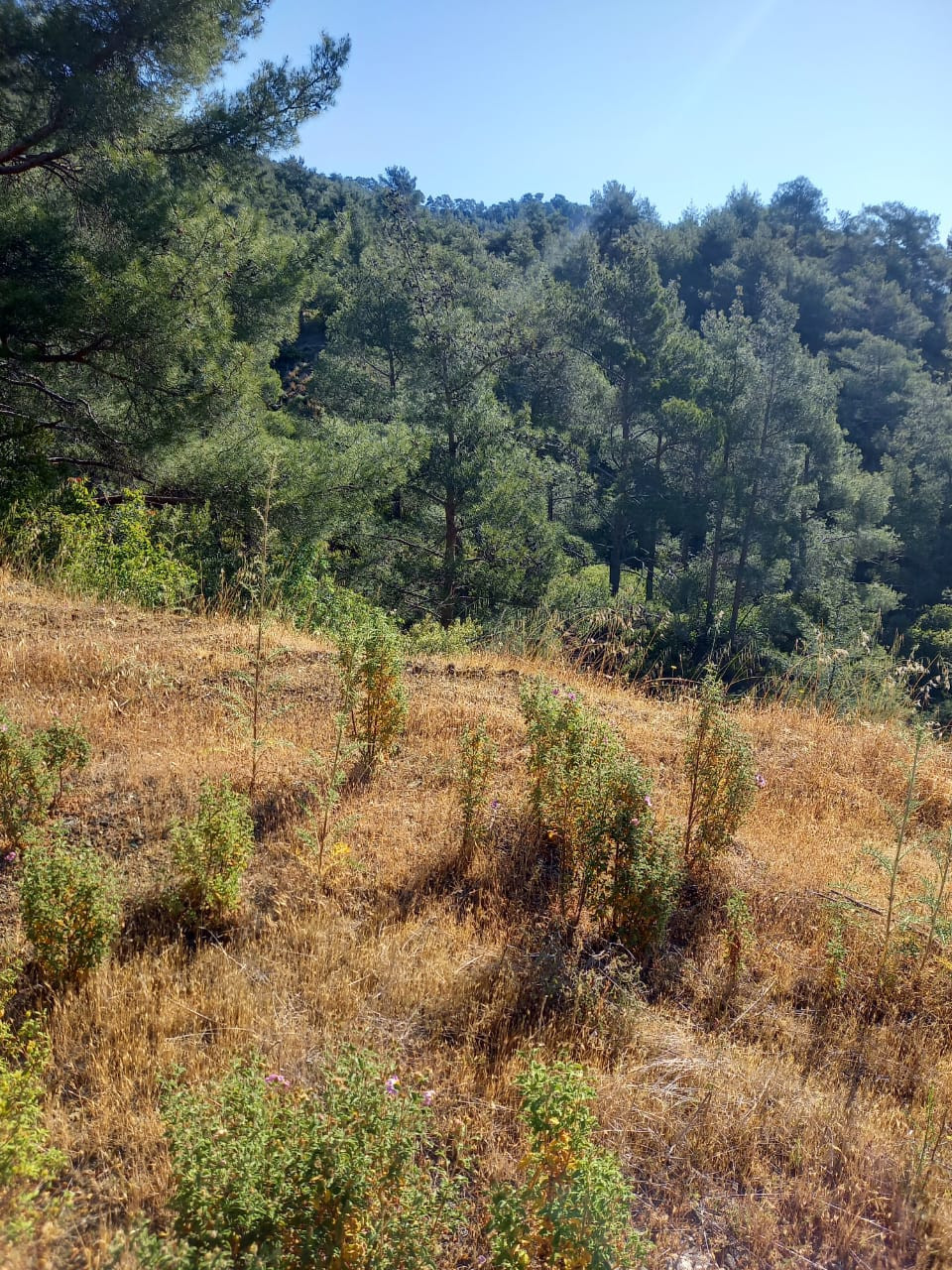 Appartement  Moniatis, Chypre