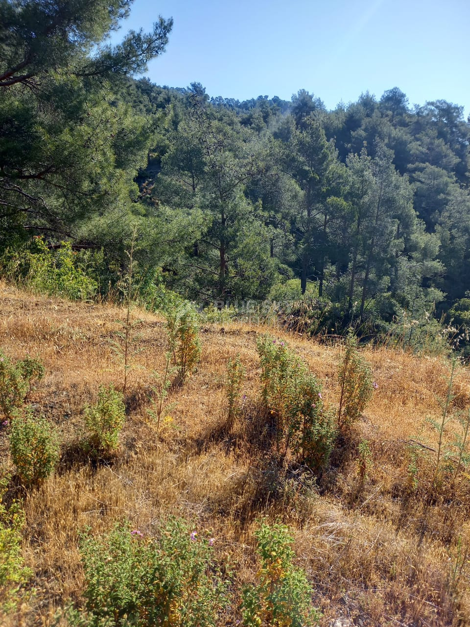 Land for sale in Moniatis, Limassol