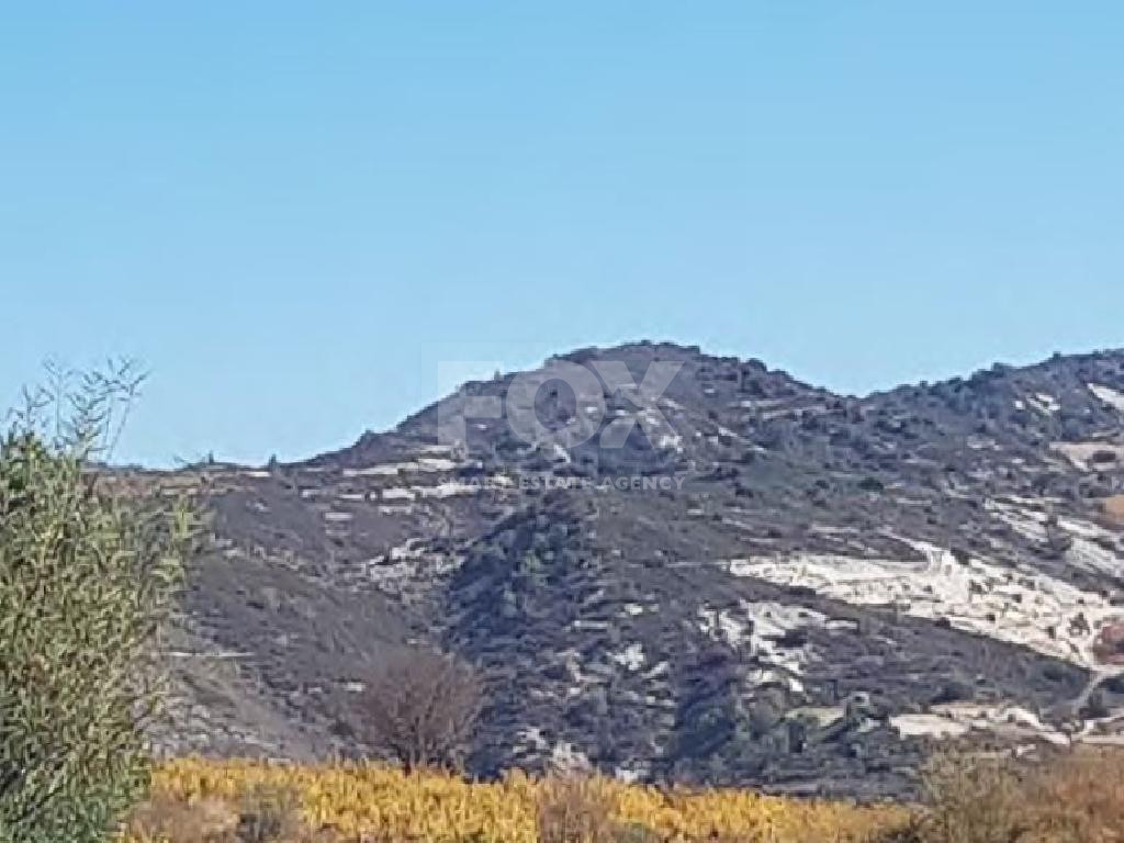 Large Agricultural Plot For Sale in Picturesque Omodos