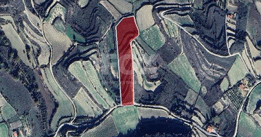Large Argicultural Field For Sale in Pachna,Limassol
