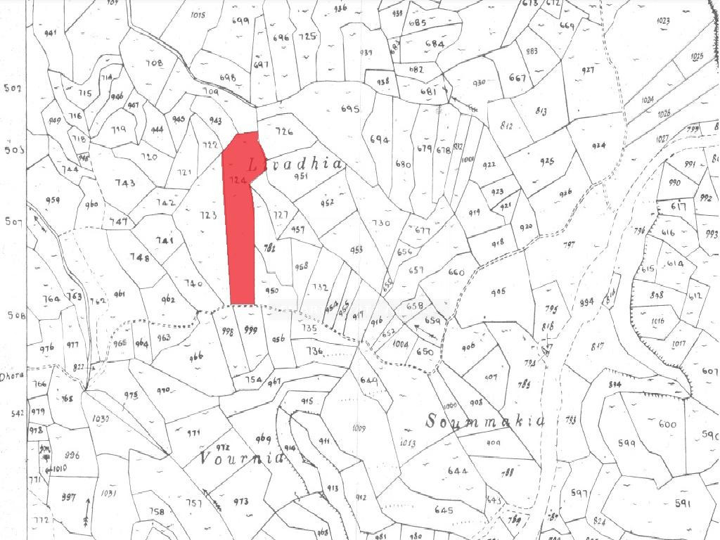 Large Argicultural Field For Sale in Pachna,Limassol