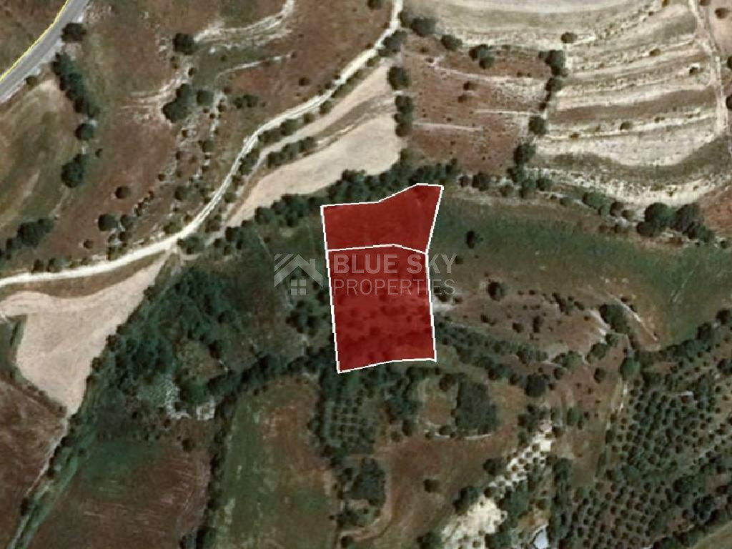 Large Residential Land For Sale in Dora,Limassol.