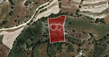 Large Residential Land For Sale in Dora,Limassol.