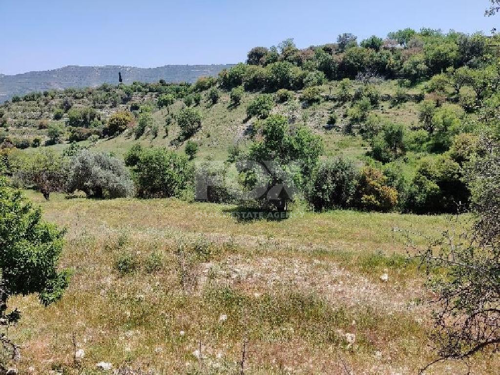 Large Residential Land For Sale in Dora,Limassol.