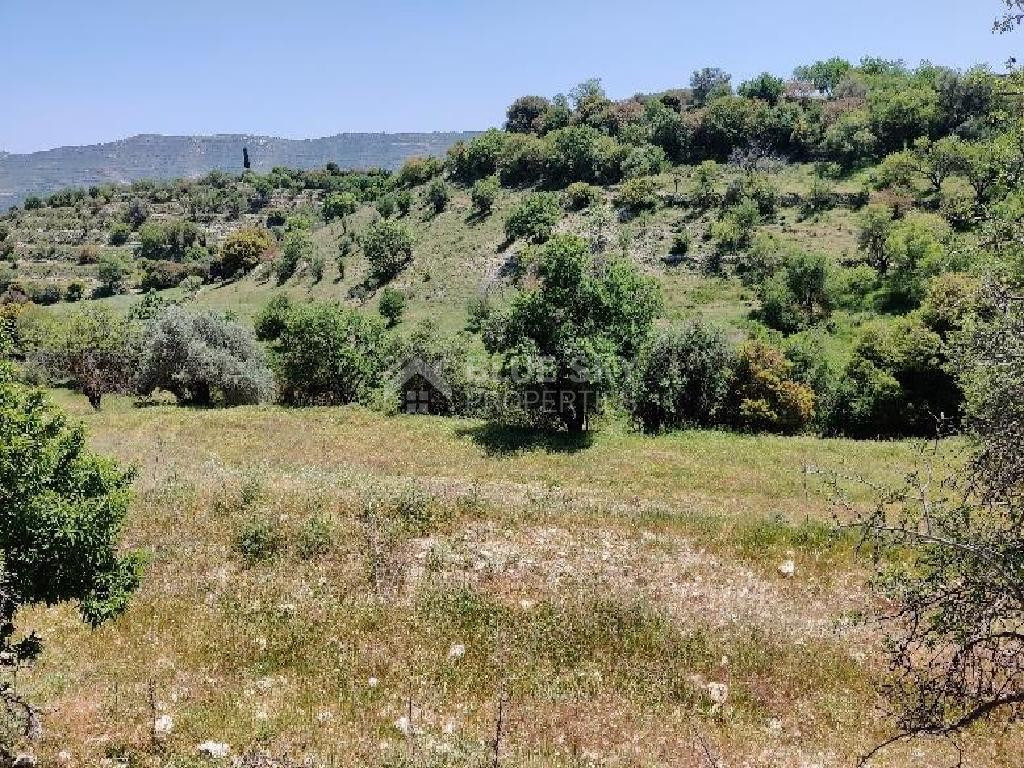 Large Residential Land For Sale in Dora,Limassol.