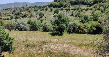 Large Residential Land For Sale in Dora,Limassol.