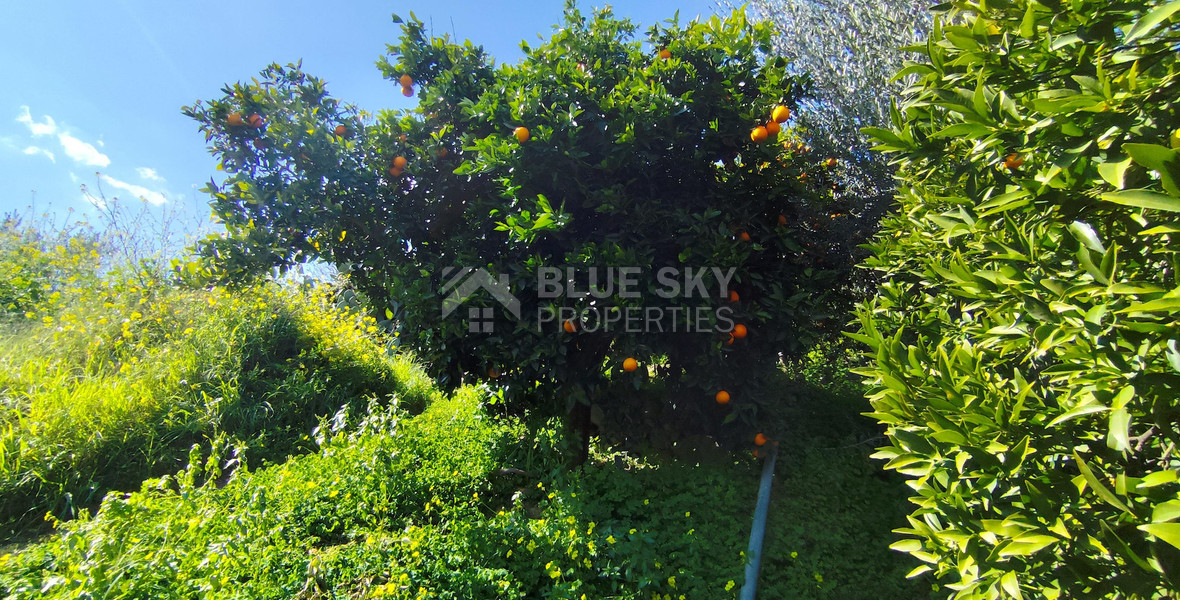 Protected land with orchard for sale in Dierona, Limassol