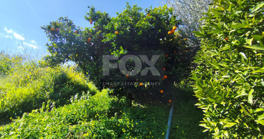 Protected land with orchard for sale in Dierona, Limassol