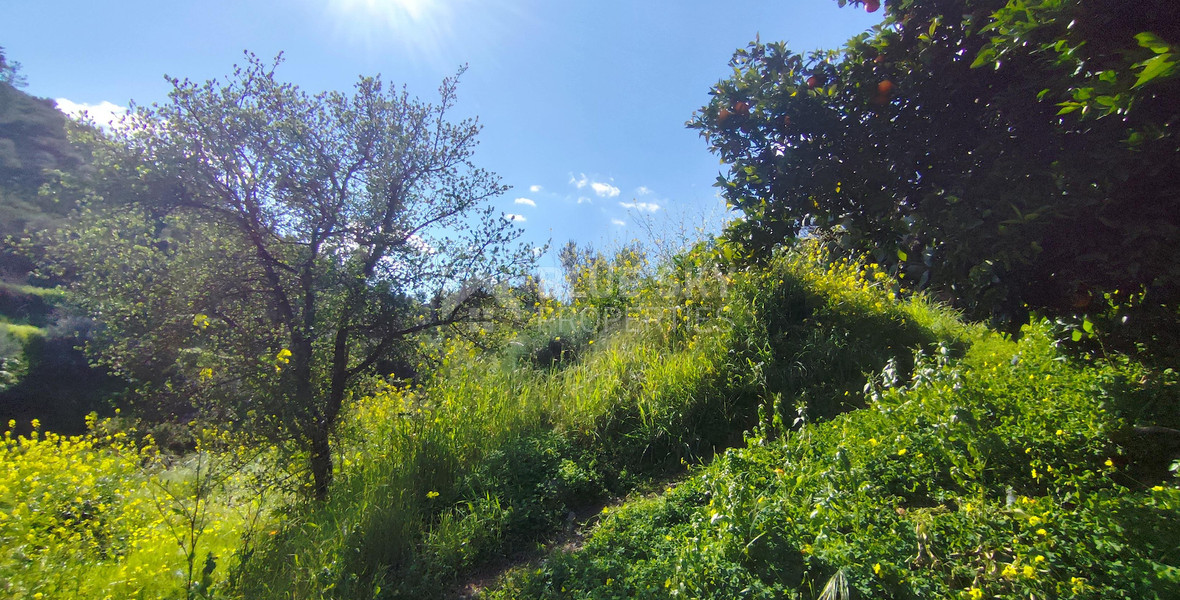 Protected land with orchard for sale in Dierona, Limassol