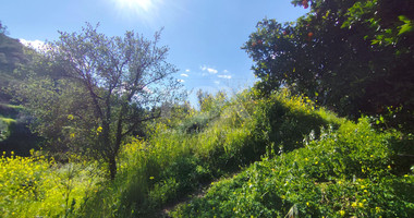 Protected land with orchard for sale in Dierona, Limassol