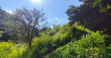 Protected land with orchard for sale in Dierona, Limassol