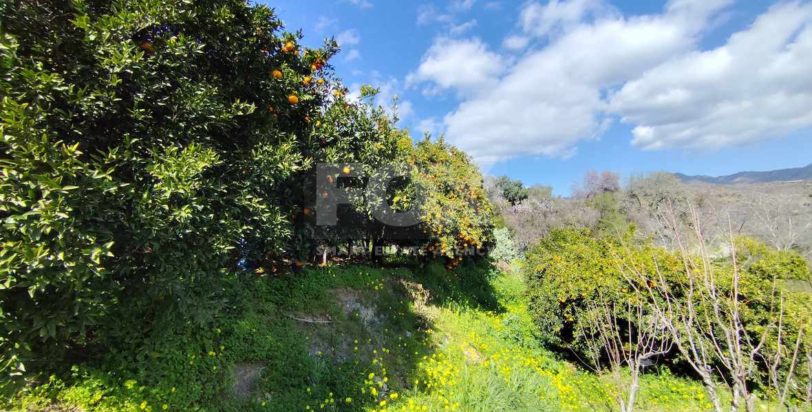 Protected land with orchard for sale in Dierona, Limassol