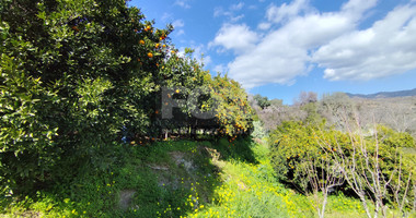 Protected land with orchard for sale in Dierona, Limassol