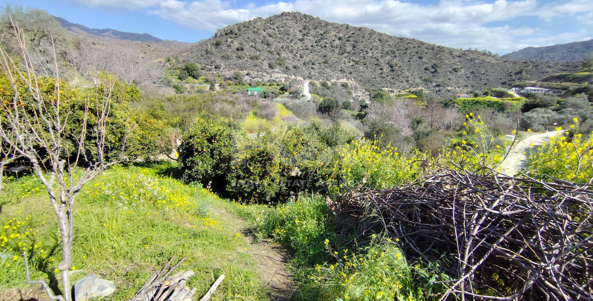 Protected land with orchard for sale in Dierona, Limassol