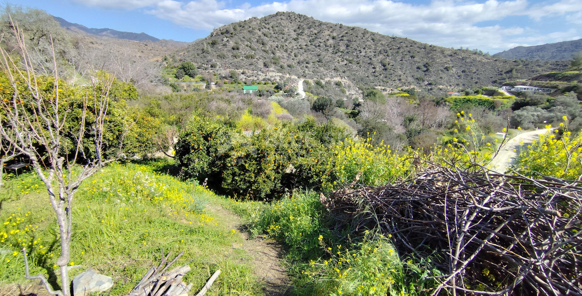 Protected land with orchard for sale in Dierona, Limassol