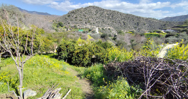 Protected land with orchard for sale in Dierona, Limassol