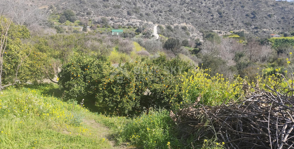 Protected land with orchard for sale in Dierona, Limassol