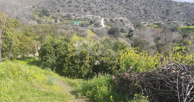 Protected land with orchard for sale in Dierona, Limassol
