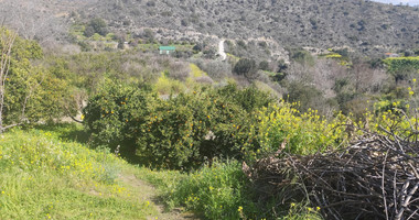 Protected land with orchard for sale in Dierona, Limassol