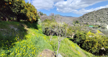 Protected land with orchard for sale in Dierona, Limassol