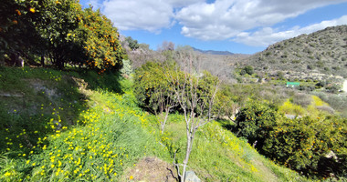 Protected land with orchard for sale in Dierona, Limassol