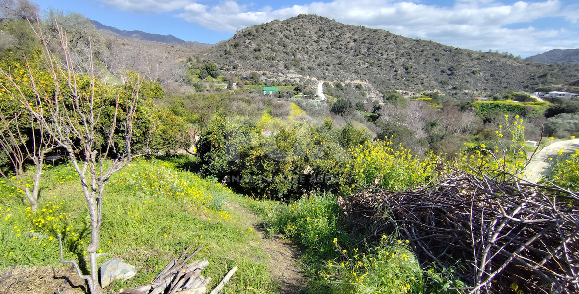 Protected land with orchard for sale in Dierona, Limassol