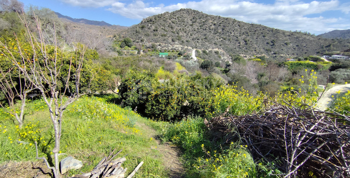 Protected land with orchard for sale in Dierona, Limassol
