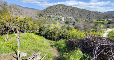 Protected land with orchard for sale in Dierona, Limassol