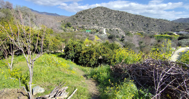 Protected land with orchard for sale in Dierona, Limassol
