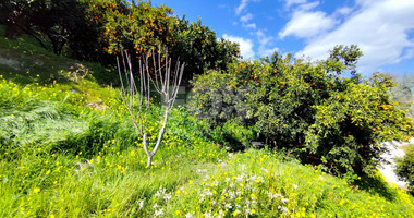 Protected land with orchard for sale in Dierona, Limassol