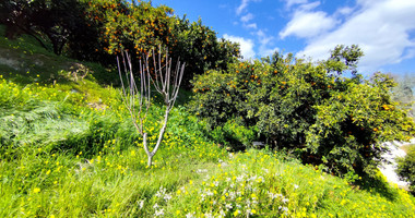Protected land with orchard for sale in Dierona, Limassol