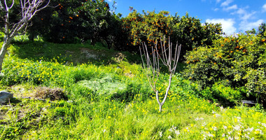 Protected land with orchard for sale in Dierona, Limassol