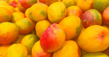 Protected land with orchard for sale in Dierona, Limassol