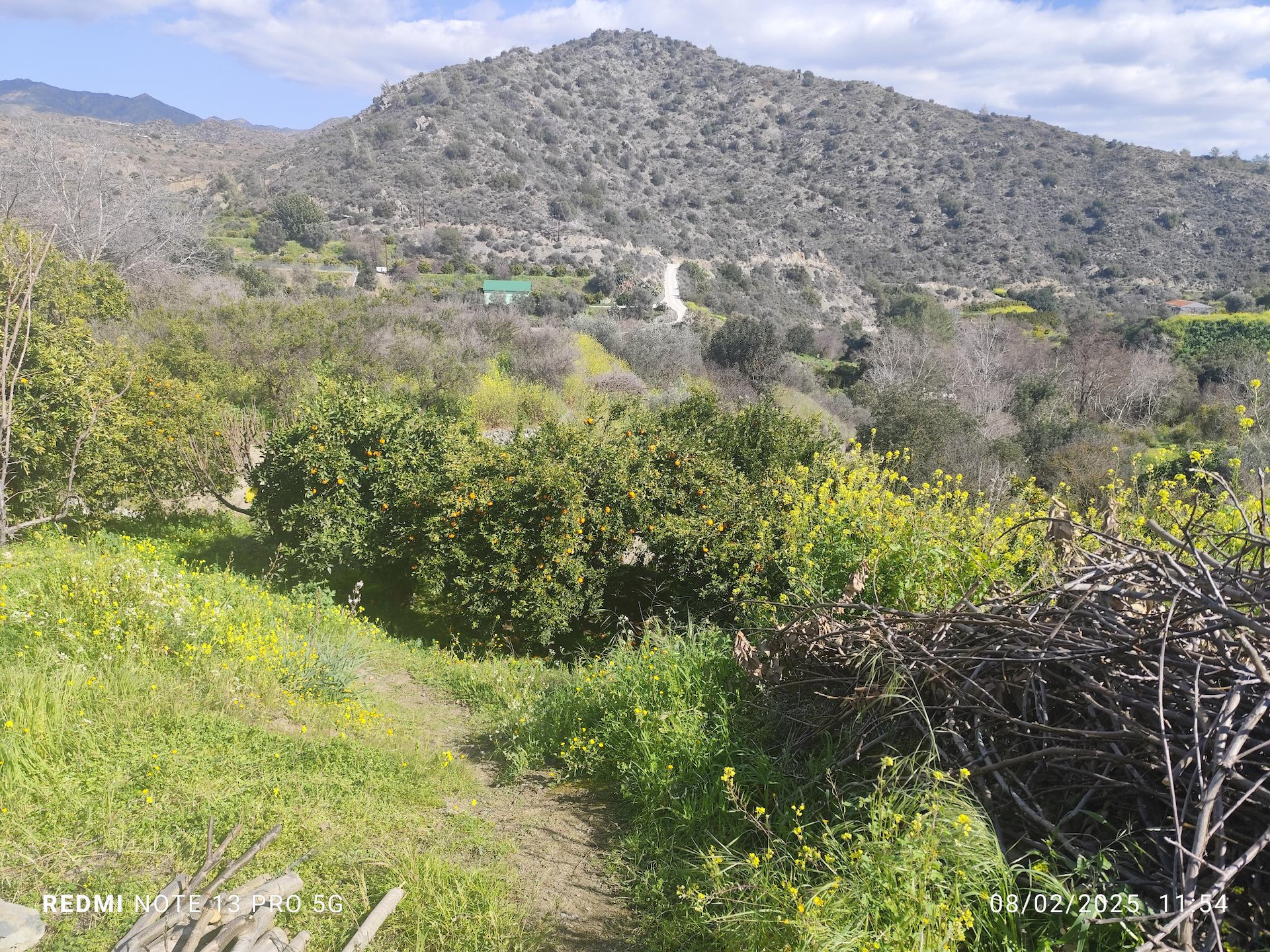 Atterrir  Dierona, Chypre