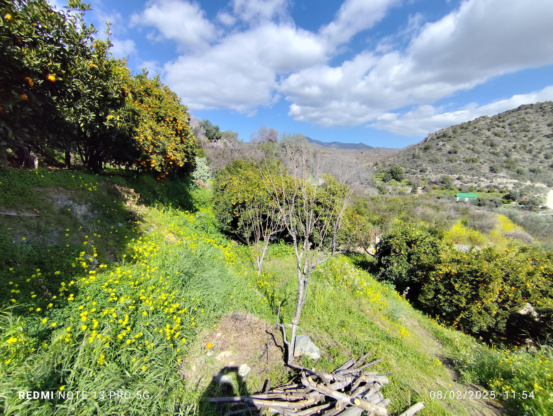 Atterrir  Dierona, Chypre