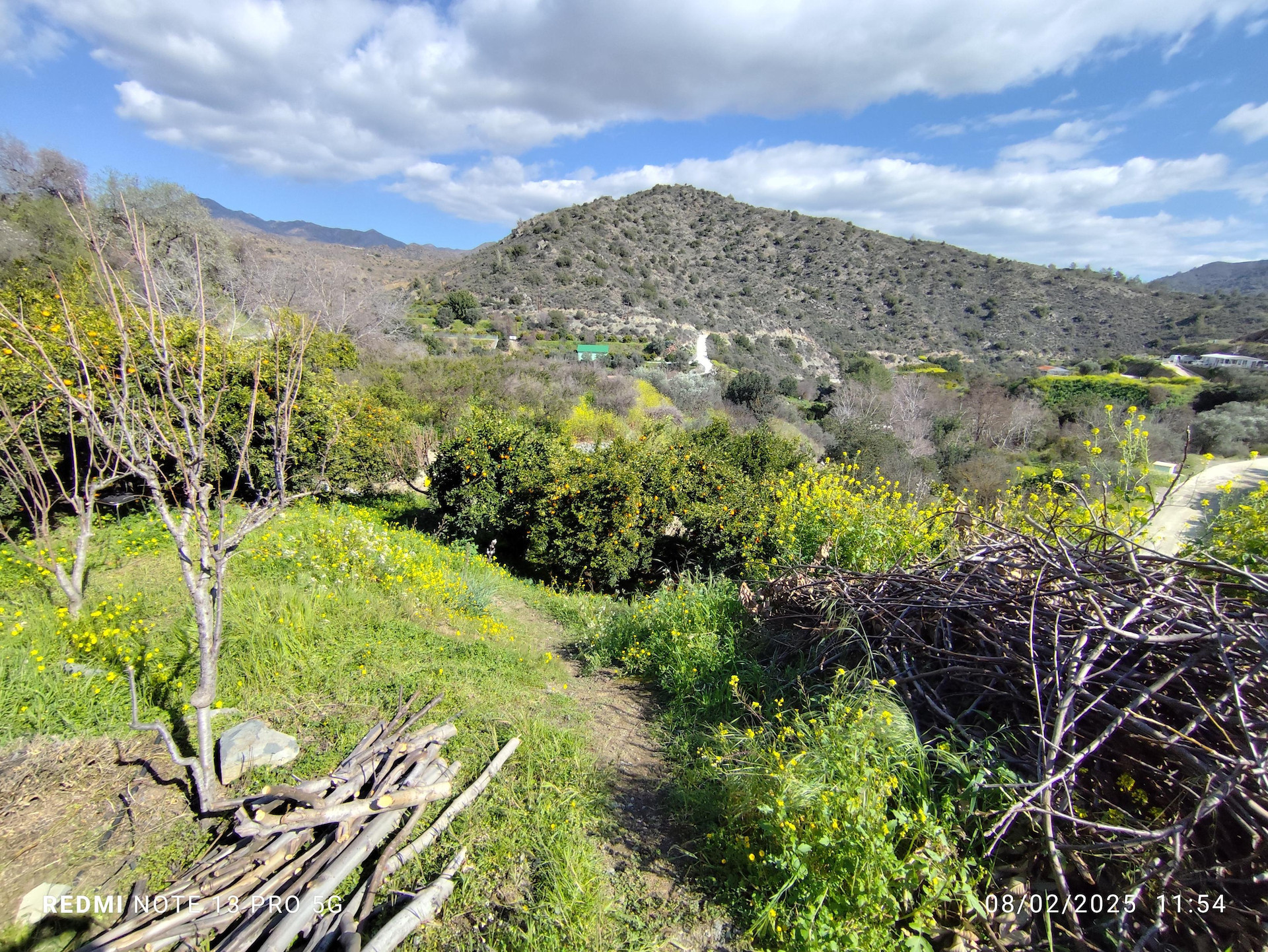 Atterrir  Dierona, Chypre