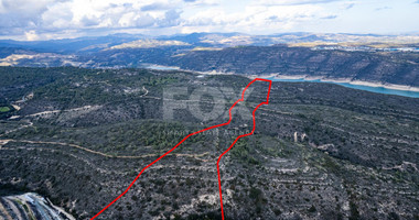 For Sale Large Field of 123487 m2 in Souni-Zanakia