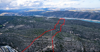 For Sale Large Field of 123487 m2 in Souni-Zanakia