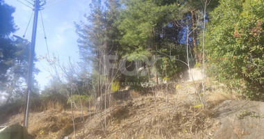 Residential plot in Pera Pedi for sale, Limassol