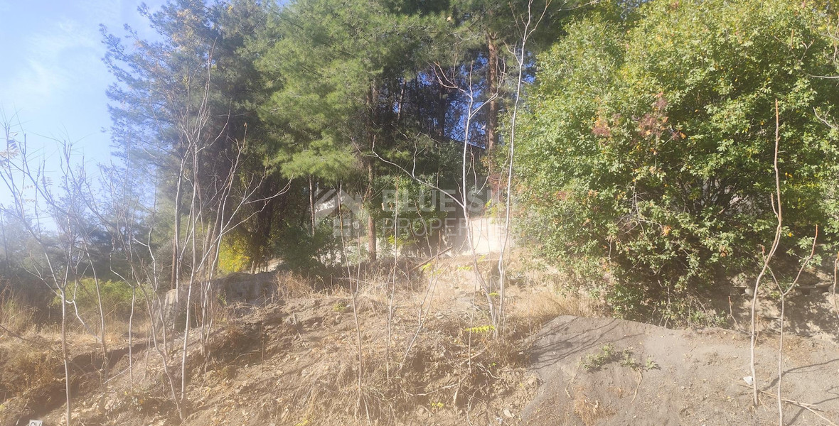 Residential plot in Pera Pedi for sale, Limassol