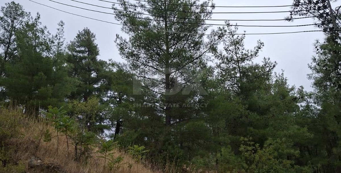 Residential plot in Pera Pedi for sale, Limassol