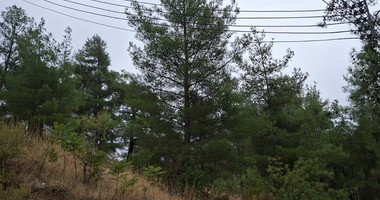 Residential plot in Pera Pedi for sale, Limassol
