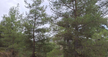 Residential plot in Pera Pedi for sale, Limassol
